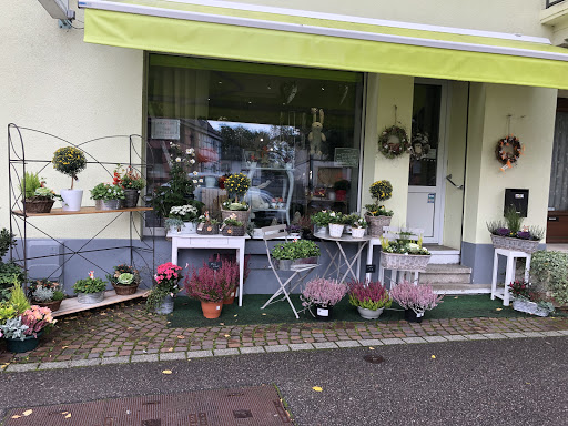 L'Arrosoir, Sausheim