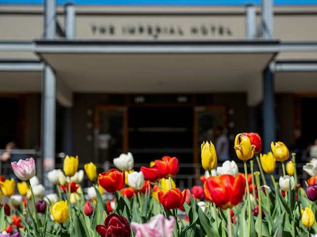 The Imperial Hotel & Motel by null