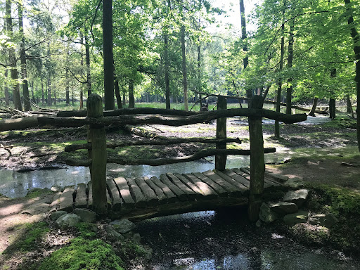 Wildpark Burg Dinklage - Thumbnail