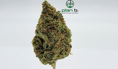 Photo of Plan B Wellness Center