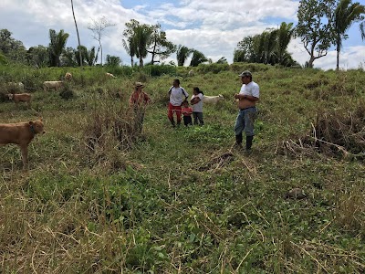 Photos of Bella Vista Tayuza