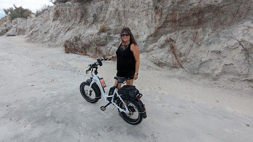 Beach Bicycle - Visual