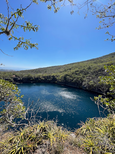 Cenotes de Candelaria Logo