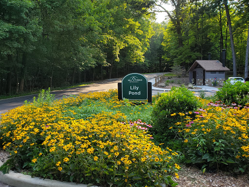 Lily Pond, Mill Creek Park - Thumbnail