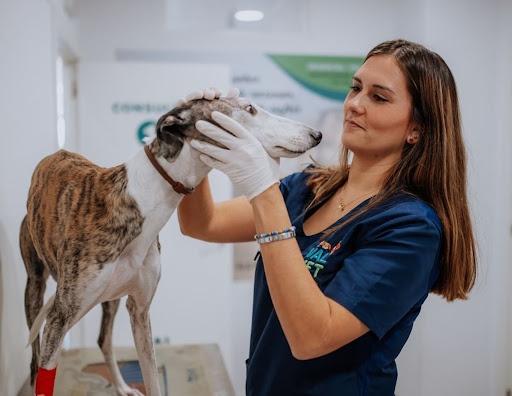 Hospital Veterinario Valvet
