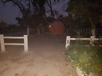 Photos of ORANGE