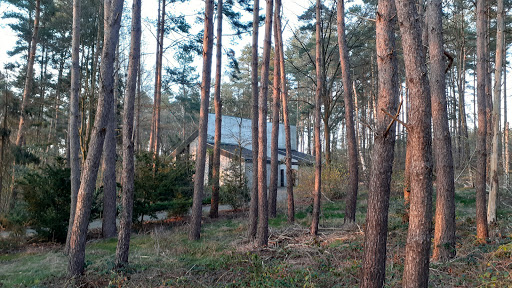 ERBSTORF Friedhof - Thumbnail
