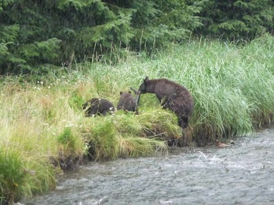 Juneau Tours