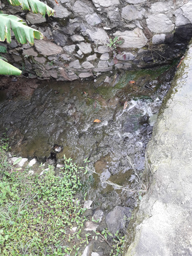 TERRENOS LA NOPALERA - Thumbnail