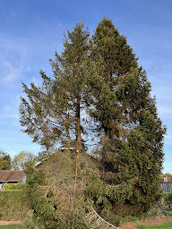 Photo n°19 de Flanquart Services Espaces Verts SARL à Harnes (Jardinier)