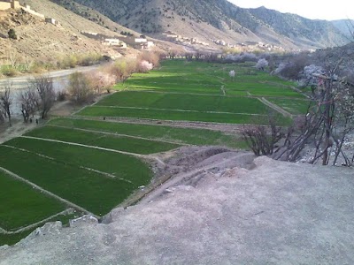 Photos of خوست سپین مسجد