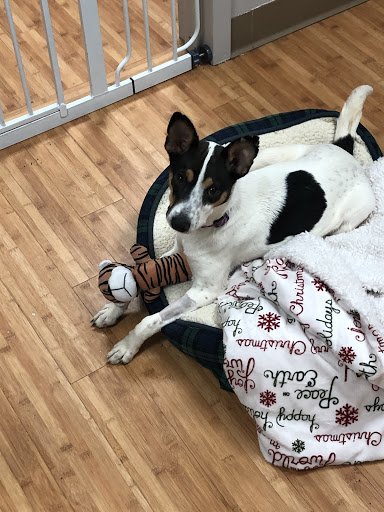 Ulster County SPCA - Thumbnail