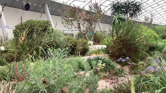 National Botanic Garden of Wales | Gardd Fotaneg Genedlaethol Cymru by null