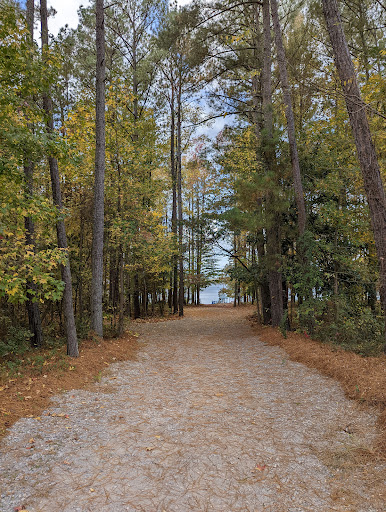 Roanoke Rapids Lake Day Use Area - Thumbnail