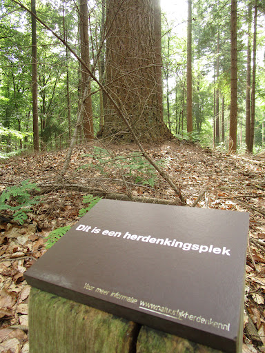 Herdenkingsplaats Eerlerberg - Thumbnail