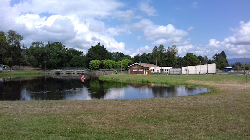 Photo 4 - Plan d'eau de Cunlhat