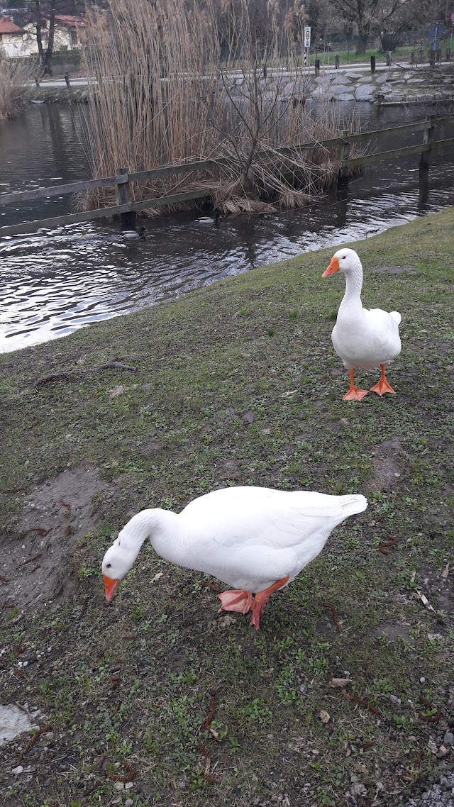 La Corte Golosa Pasticceria Gelateria e Gastronomia Siciliana