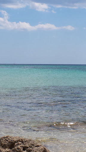 Strusi Giuseppe - Visual