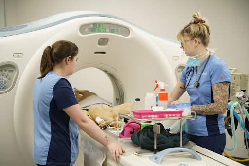Boundary Bay Veterinary Specialty Hospital - United States