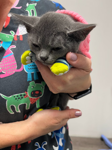 West Melton Vet Centre - Thumbnail