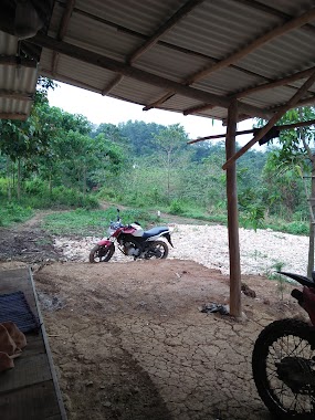 Saung PANIIKOL (Paniisan Jengkol), Author: Afrizall Kyamuddin