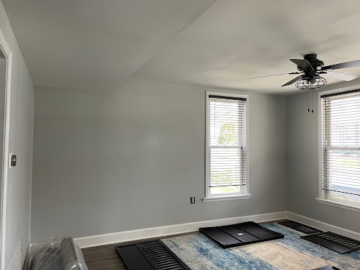 Paintology Pro Painting