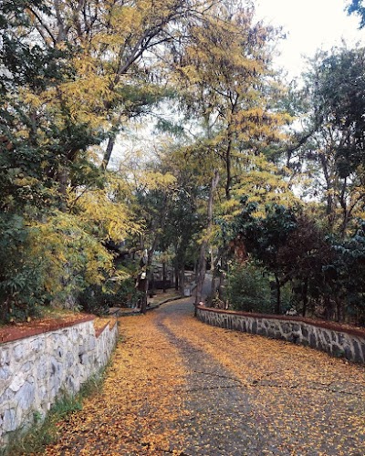 Maçka Park