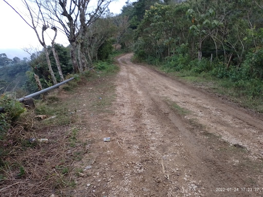 Planada - Visual