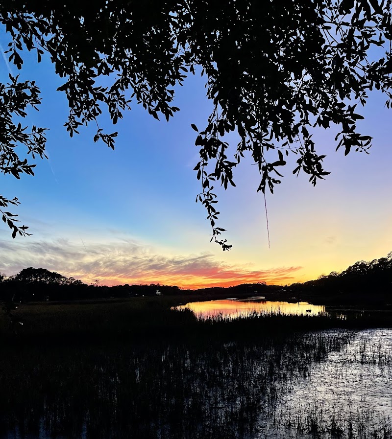 The Wellness Loft | Functional Medicine Clinic