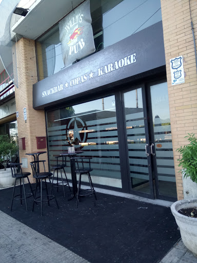 Pub Willys - Visual