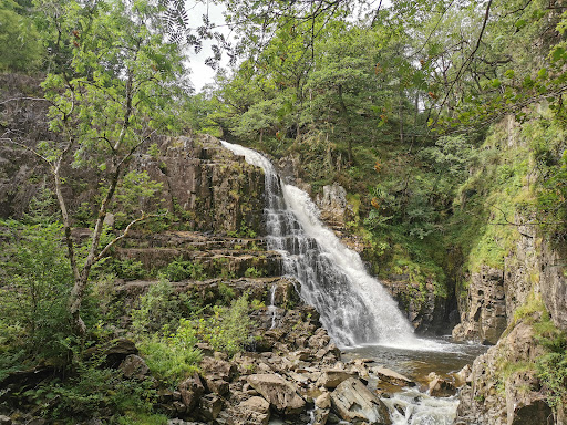 Coed y Brenin Forest Park
