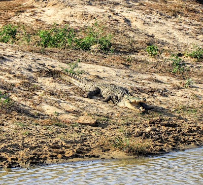 Photos of Yala Block I