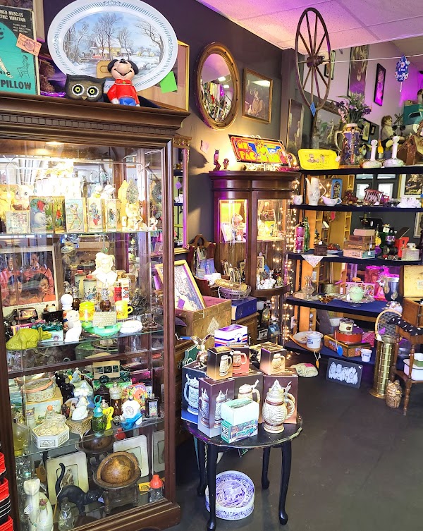 Scrappy Cat (a curiosity shop) photo 1