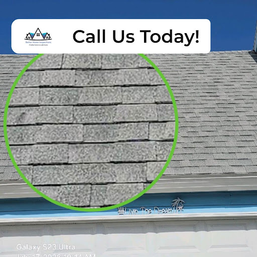 Home inspector article