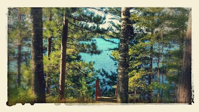 Photos of Paulging Pond Campground and Picnic Area