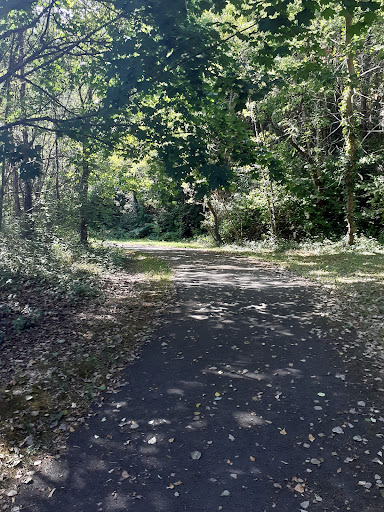 Voie Verte du Manoire - Thumbnail