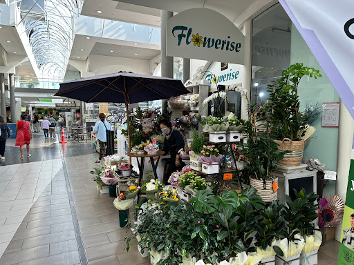 Royal Oak Florist - Flowerise