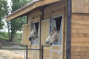 Photo n°12 de Centre équestre, parcours Mountain Trail ,Barrel Racing et Pole Bending, cours d'équitation, balade, randonnée. à Salles-sur-Garonne (Hébergement de groupe)