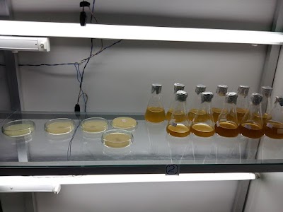 Photos of Shrimp Farm Monitoring Unit