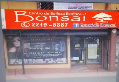 Photos of Estetica Bonsai