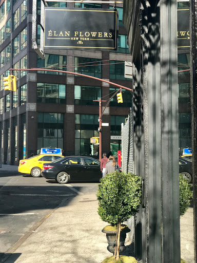 Élan flowers