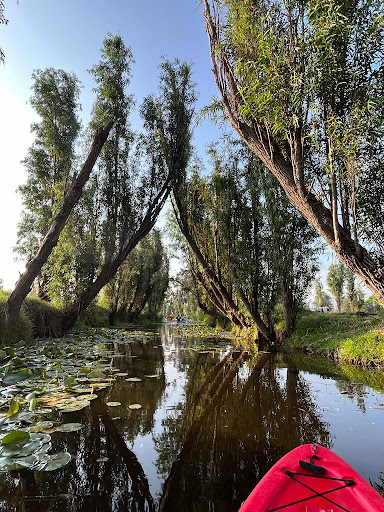 LA KANOA Kayak en Xochimilco Gallery - Mexico