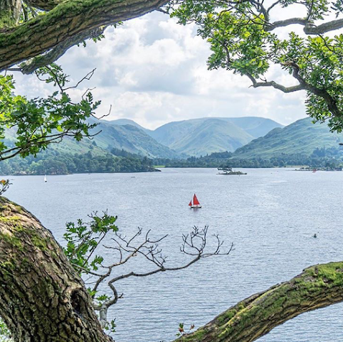 The Quiet Site by null