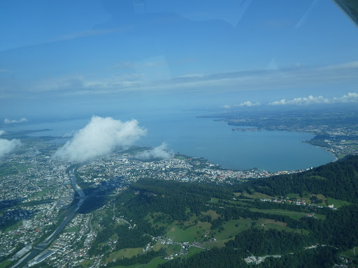 Wildberg - Visual