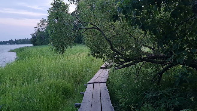Seurasaari by null