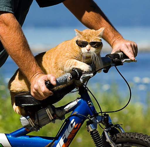 MTBTire.com - Thumbnail