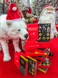 Photo n°4 de MEGA+ à Taden (Magasin d'ameublement d'extérieur)