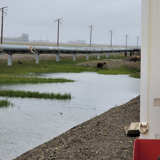 Halliburton Energy Services - Thumbnail