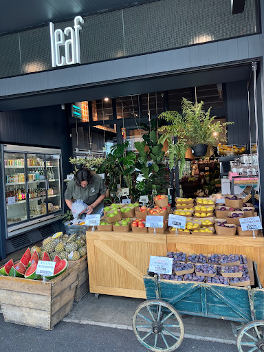 The Leaf Store Hawthorn