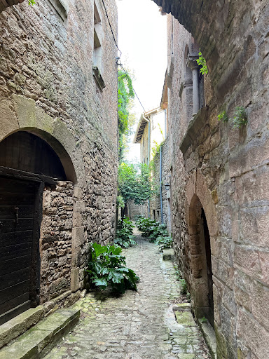 Photo de Gîte du Domaine de Ferrières-Haut à Castelnau-de-Montmiral (81140)